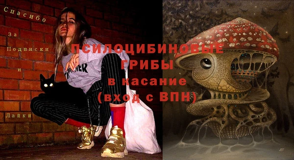 гидропоника Арсеньев