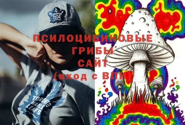 спиды Армянск