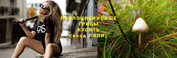 спиды Армянск