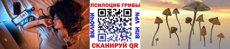 Псилоцибиновые грибы мухоморы  Купить  Богданович 