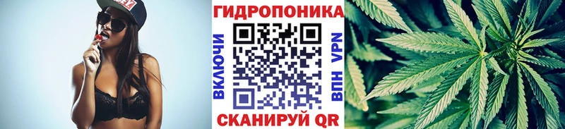 Купить закладки  Богданович  Бошки Шишки White Widow 